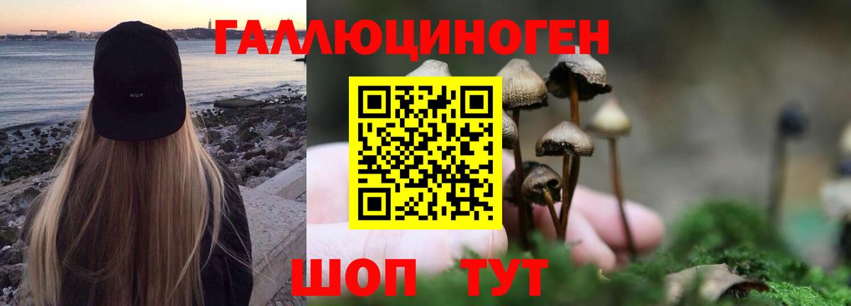сколько стоит  Псилоцибиновые грибы мицелий  Вход с VPN  Грязи 